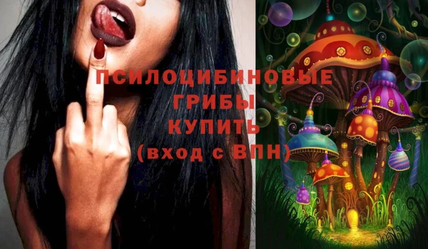 крисы Липки