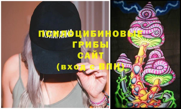 крисы Липки