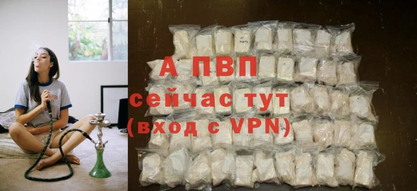крисы Липки