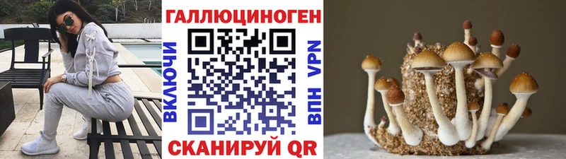 Купить закладки  Геленджик  Галлюциногенные грибы Psilocybe 